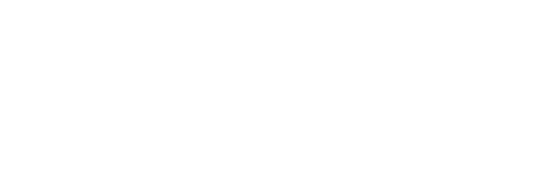 Ville de Lyon